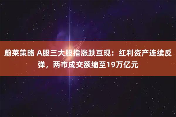 蔚莱策略 A股三大股指涨跌互现：红利资产连续反弹，两市成交额缩至19万亿元