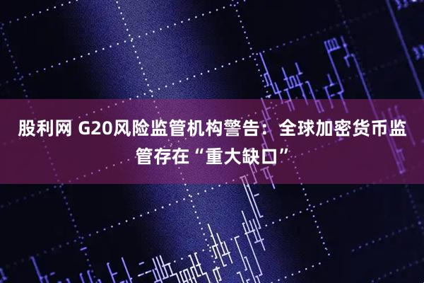 股利网 G20风险监管机构警告：全球加密货币监管存在“重大缺口”